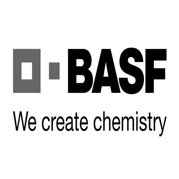 Rally Basf 2026 - 1 - Cerejeiras